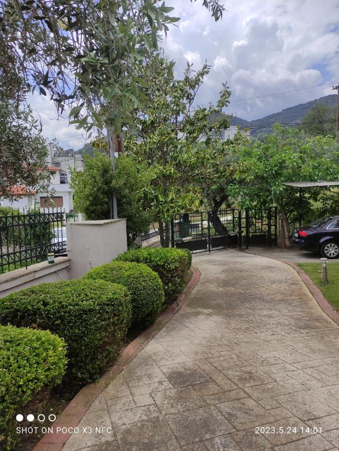 Villa Garden House PalaiónTsiflíkion Exterior foto